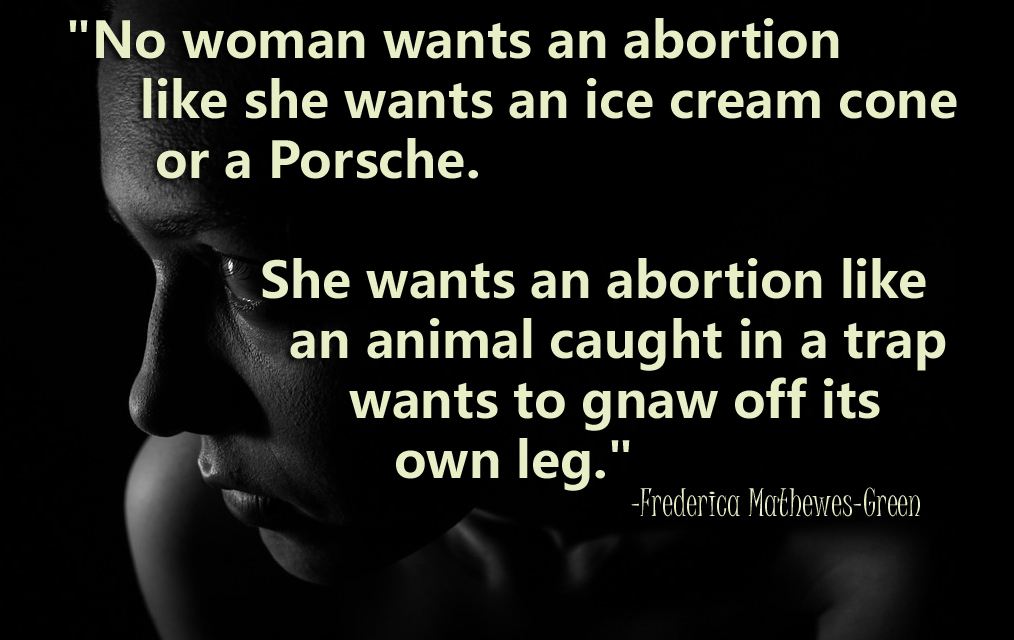 no one wants an abortion like she wants an ice cream or a porsche